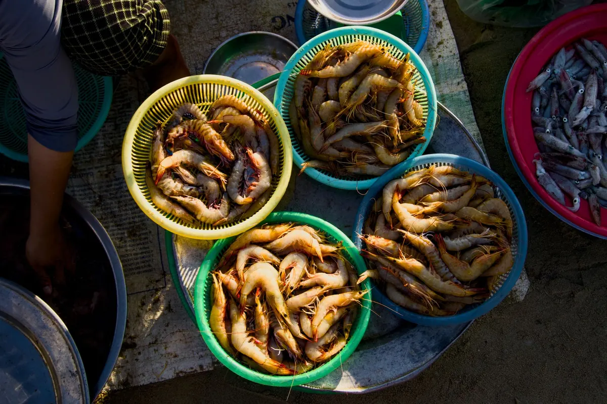 UK Coastal Seafood Seasonality Calendar: What to Eat Month by Month